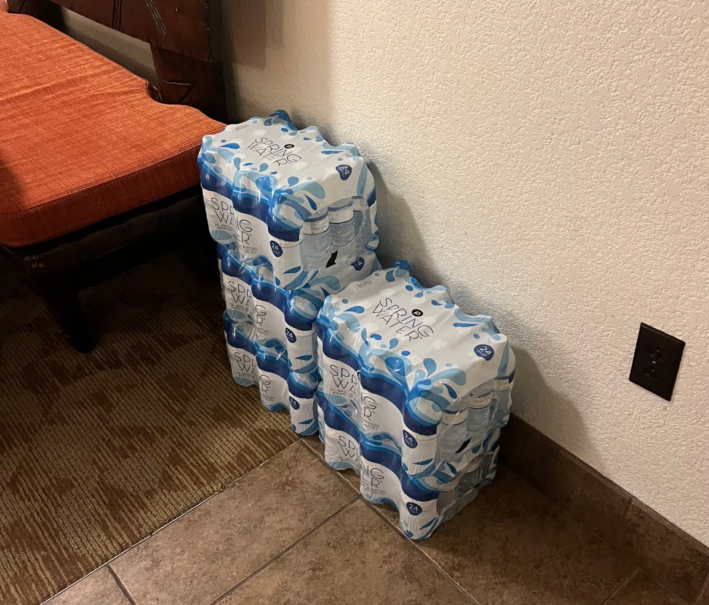 Grocery Delivery to Walt Disney World