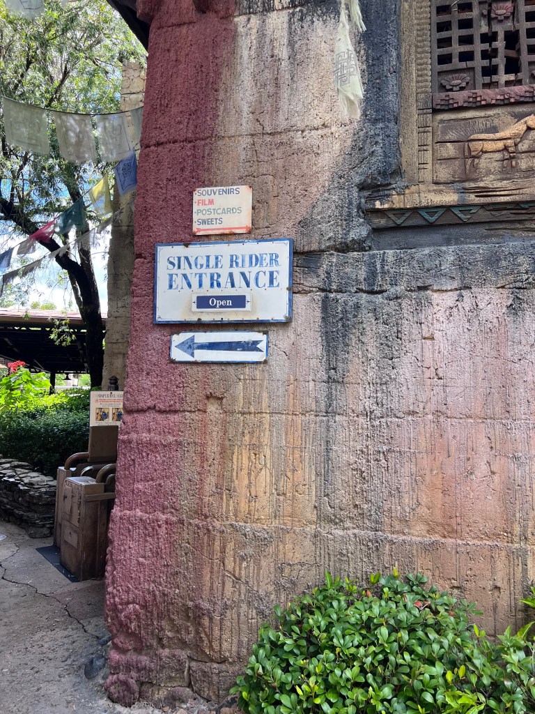 Disney Animal Kingdom Tips for Families